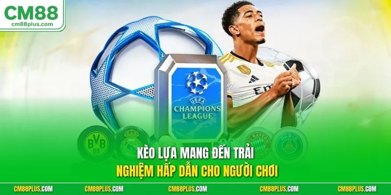 Kèo lựa mang đến trải nghiệm hấp dẫn cho người chơi